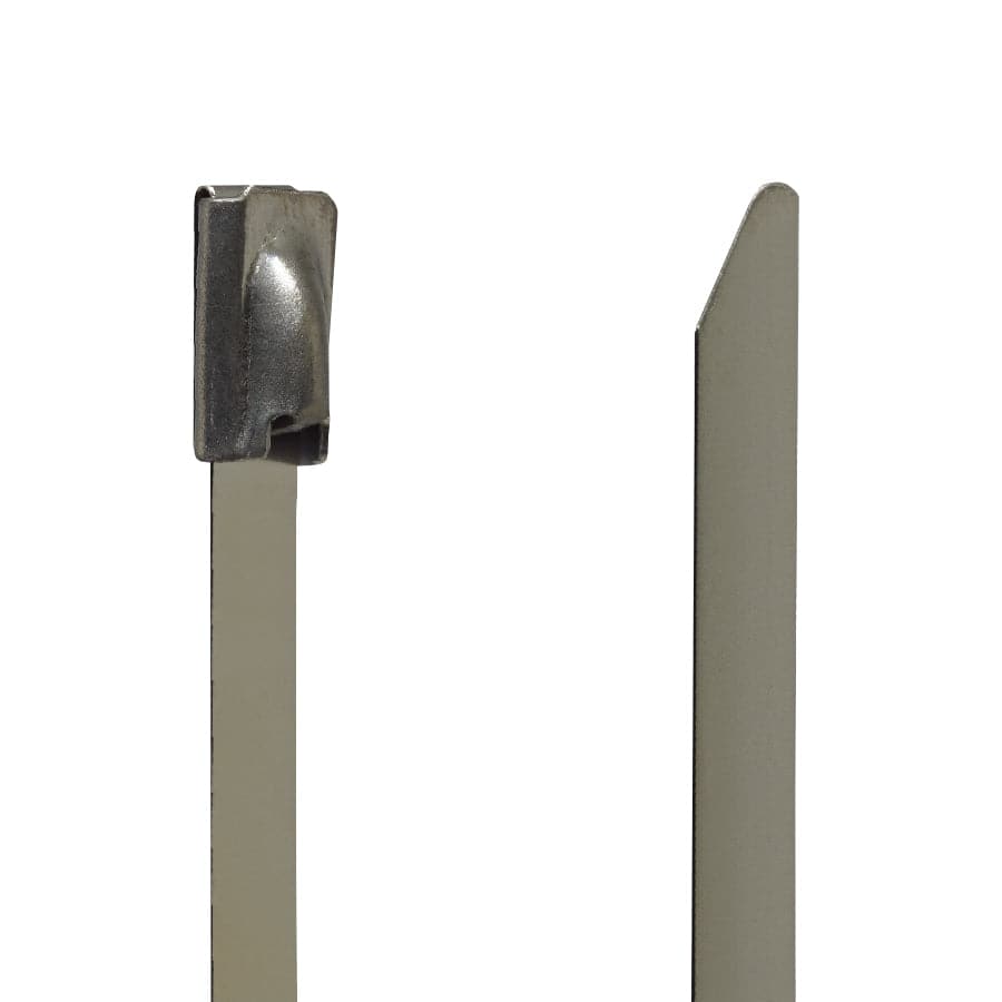 BTC461000 - Stainless Steel Ties - 4.6x1000mm - Ferrules Direct