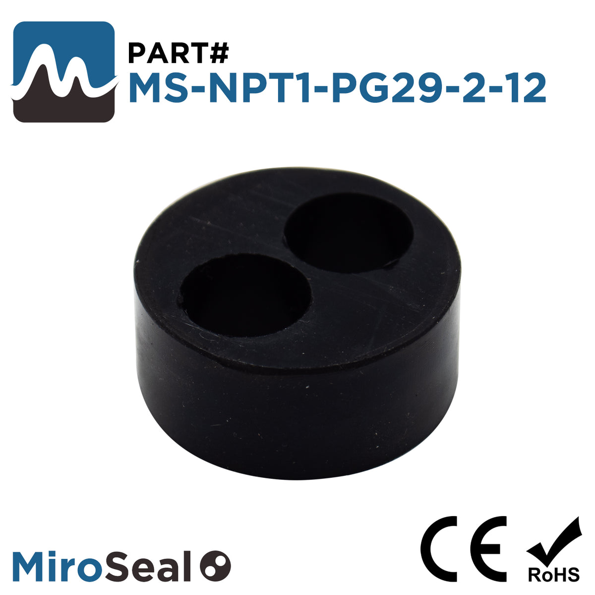 MS-NPT1-PG29-2-